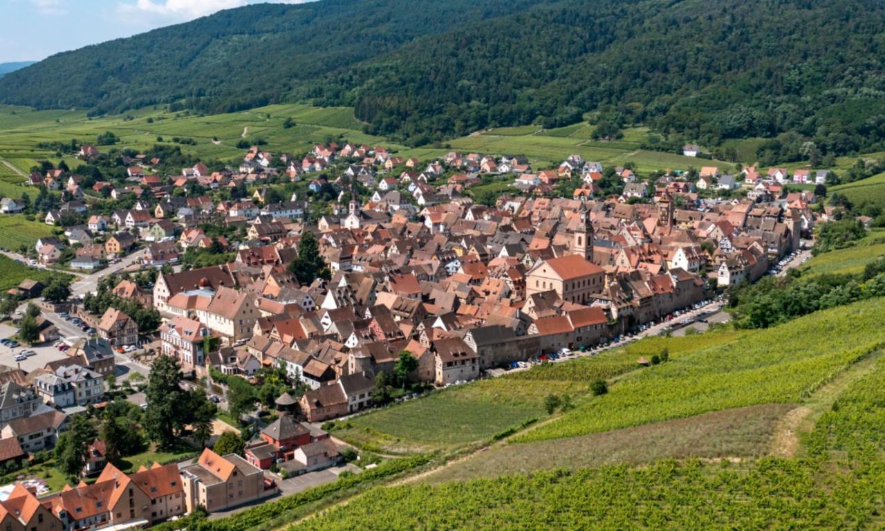 L'Escale Apartment Riquewihr Exterior foto
