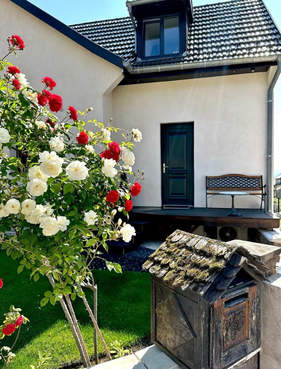 L'Escale Apartment Riquewihr Exterior foto
